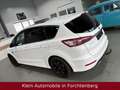 Ford S-Max Titanium Aut. Navi LED Pano ACC AHK Weiß - thumbnail 6
