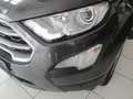 Ford EcoSport AWD Trend Grau - thumbnail 2