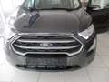 Ford EcoSport AWD Trend Gris - thumbnail 1