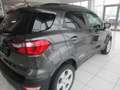 Ford EcoSport AWD Trend Gris - thumbnail 6