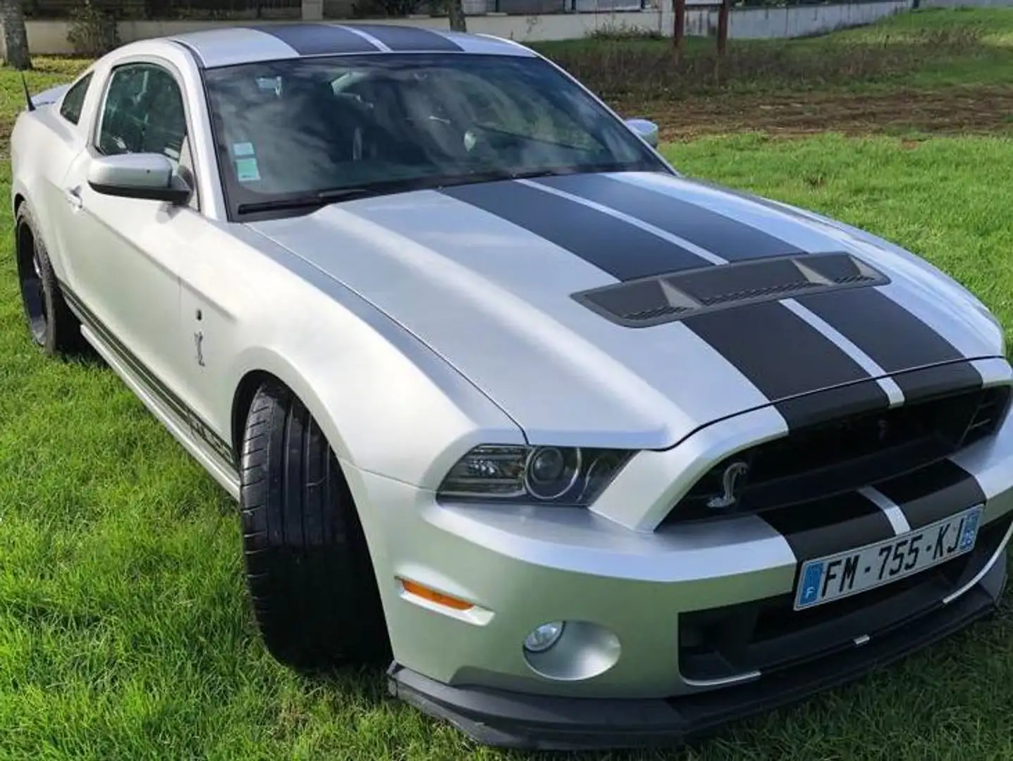 Shelby GT500 Argent - 2