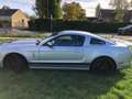 Shelby GT500 Argent - thumbnail 3