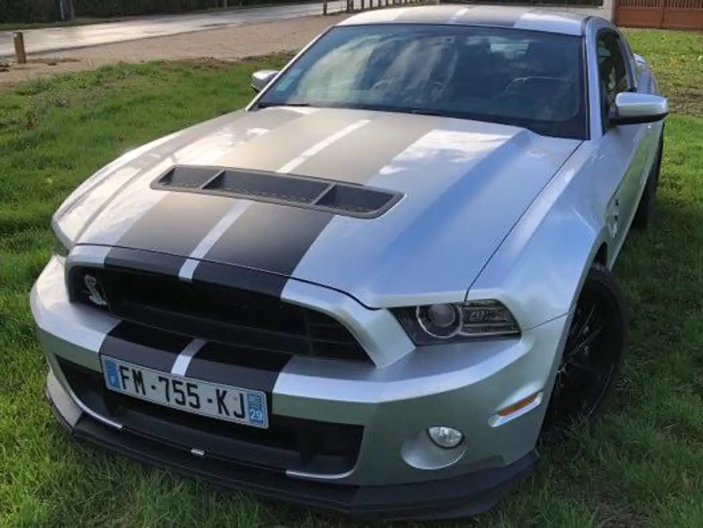 Shelby GT500 Argent - 1
