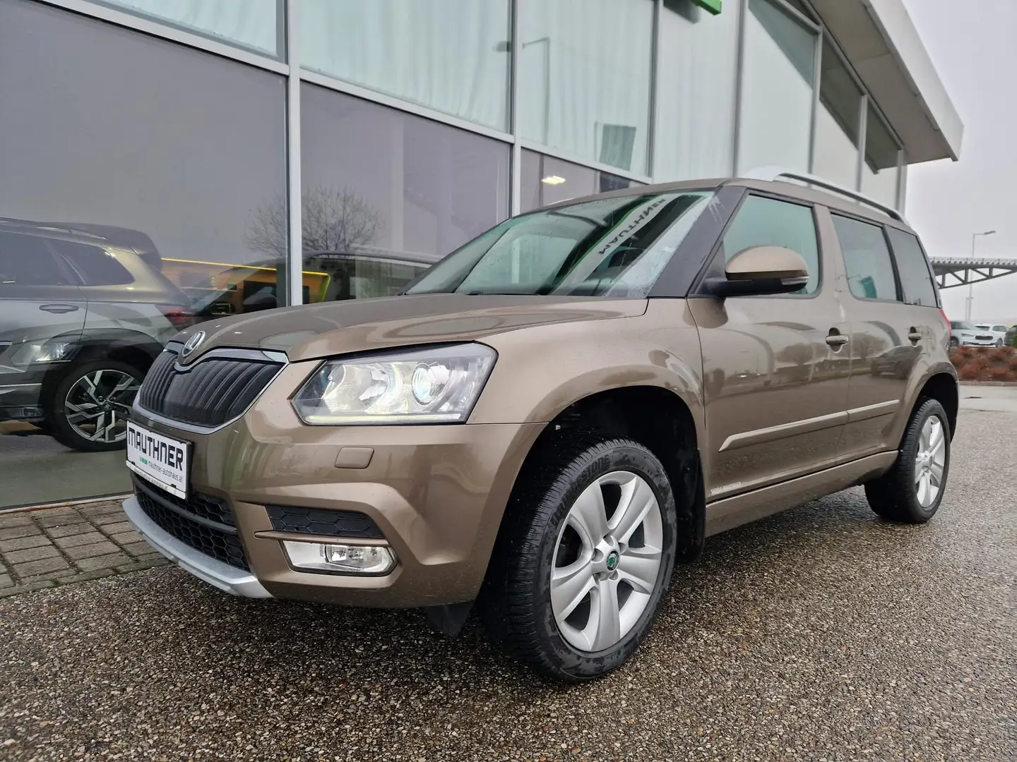 Skoda Yeti Elegance 4x4 Braun - 1