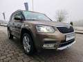 Skoda Yeti Elegance 4x4 Braun - thumbnail 6
