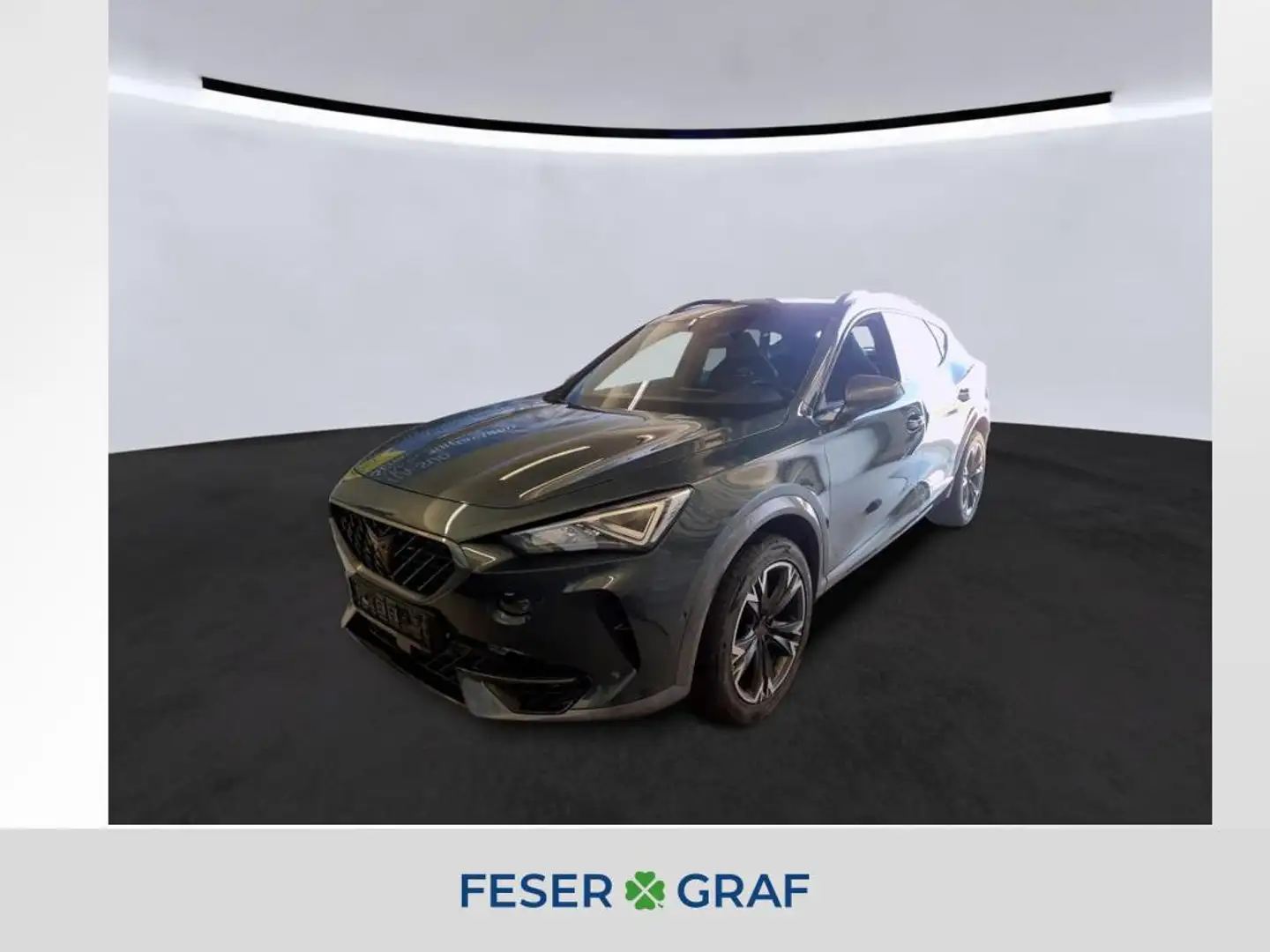 CUPRA Formentor 2.0 TDI DSG 4Drive ACC Keyless RFK Vert - 1
