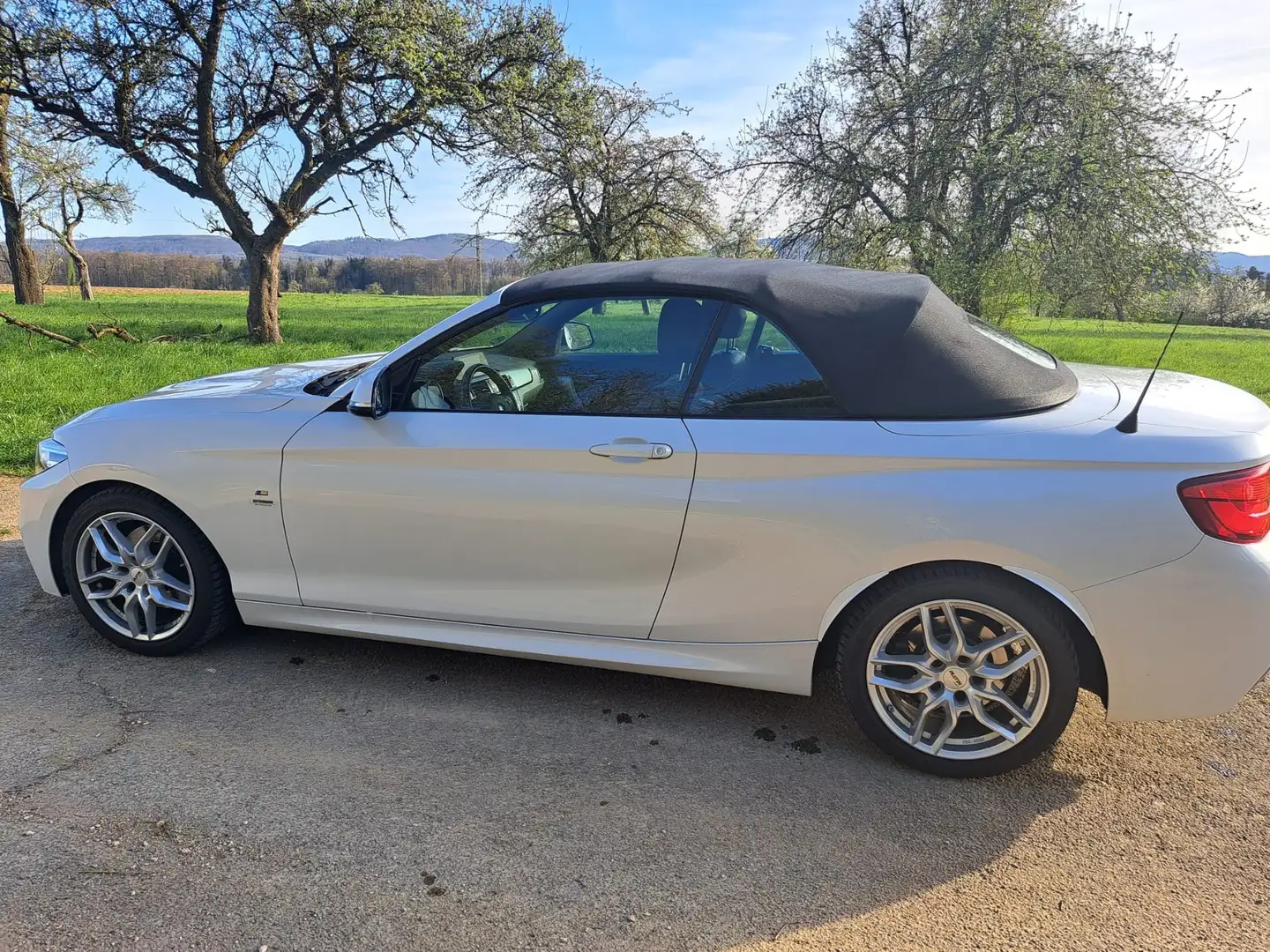 BMW 220 2er Cabrio 220i Cabrio Aut. Advantage Weiß - 2