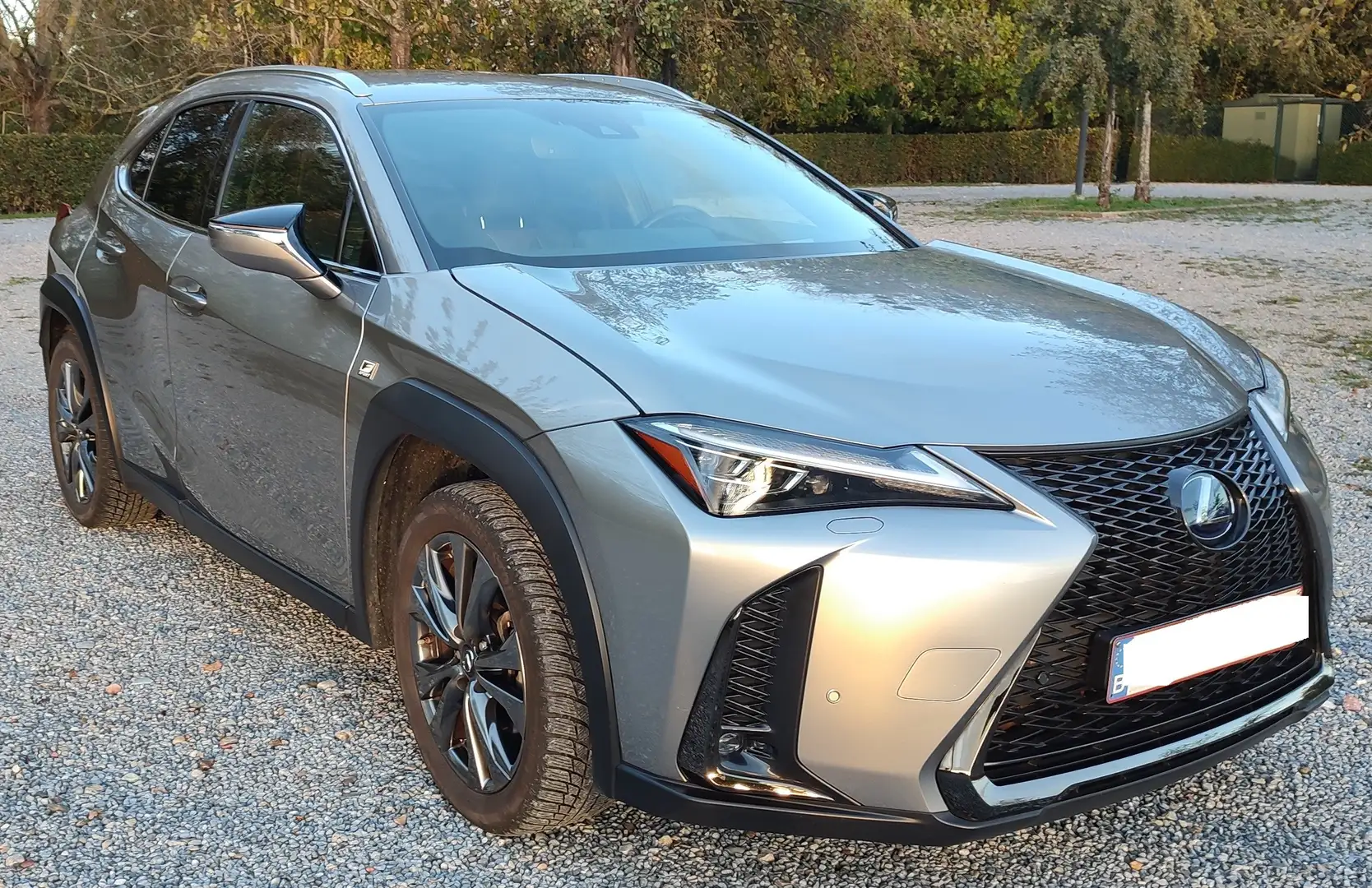 Lexus UX 250h UX 250h F SPORT Argent - 2