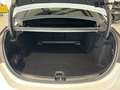 Mercedes-Benz C 220 C 220 d AMG,Memory,Kamera,Distronic,Sound,19Zoll Bianco - thumbnail 5
