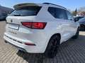 CUPRA Ateca Limited 2.0 TSI DSG ACC AHK BREMBO eSITZ PANO Blanc - thumbnail 6