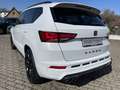 CUPRA Ateca Limited 2.0 TSI DSG ACC AHK BREMBO eSITZ PANO Alb - thumbnail 8