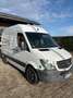 Mercedes-Benz Sprinter 213 CDI (BlueTec) Sprinter 906.711 CREW Blanc - thumbnail 1