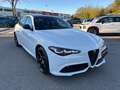 Alfa Romeo Giulia 2.2 TD 210cv Tributo Italiano AT8 Q4 Blanc - thumbnail 5