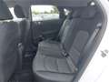 Kia Ceed / cee'd ceed 1,0 T-GDI GPF Titan Weiß - thumbnail 10