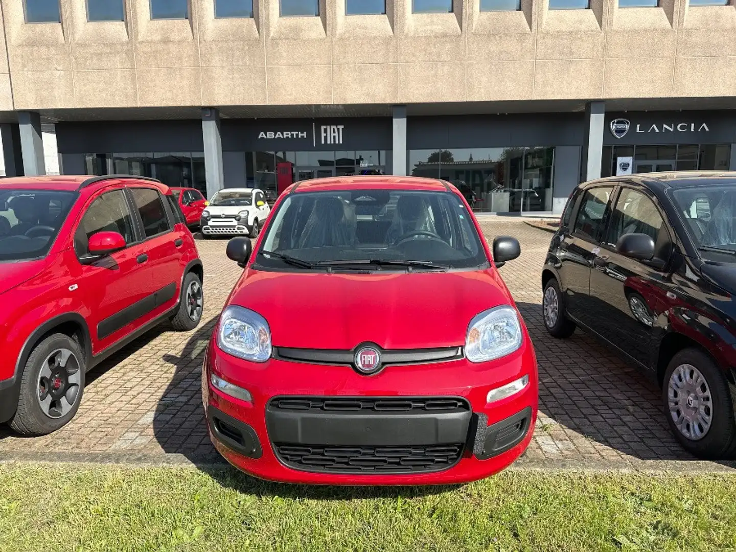 Fiat Panda 1.0 70cv Hybrid Panda Rojo - 2