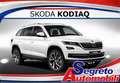 Skoda Kodiaq Kodiaq 2.0 TDI EVO SCR DSG Selection Beige - thumbnail 1