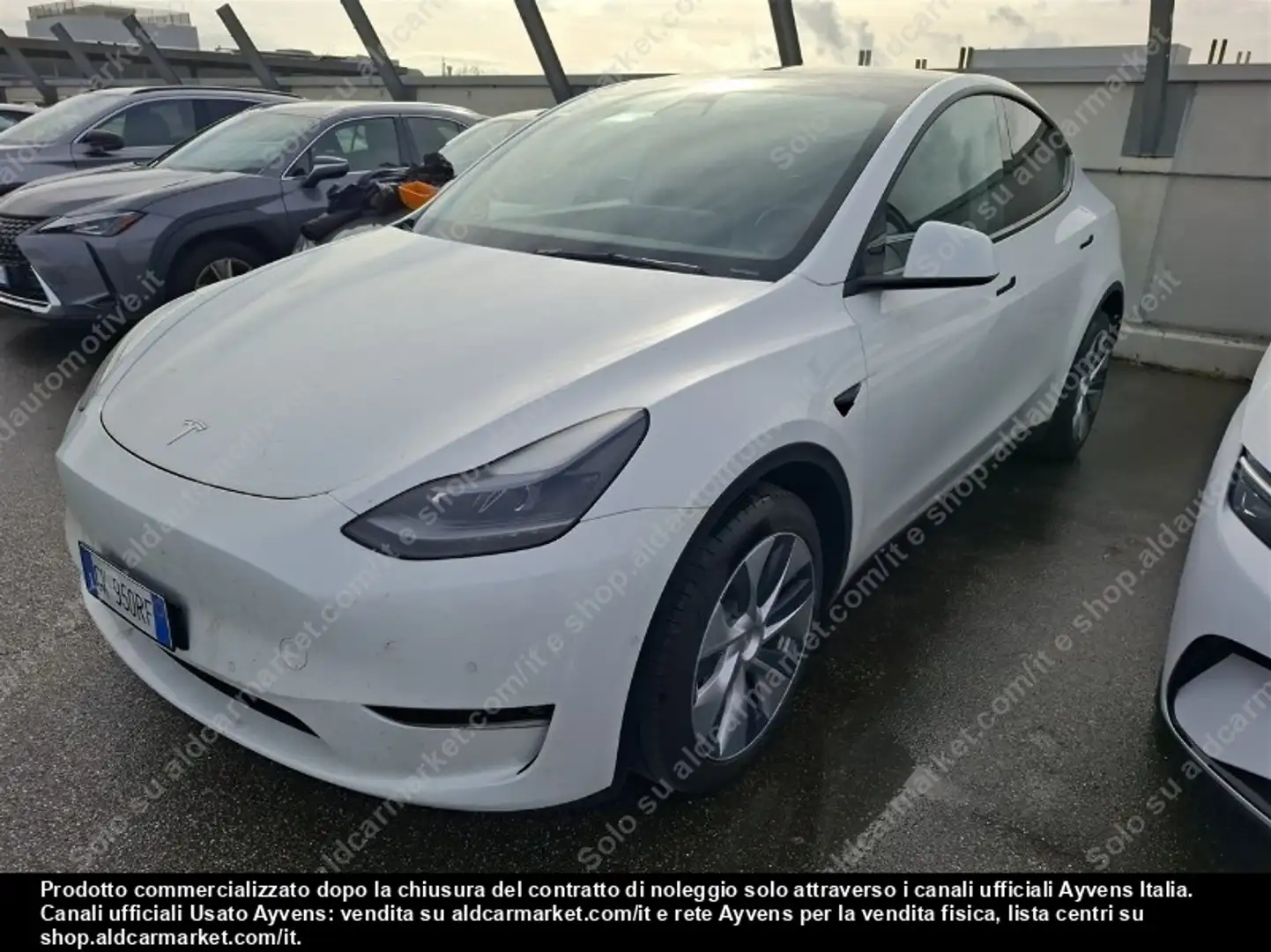Tesla Model Y Long Range Dual Motor Blanc - 2