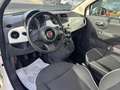 Fiat 500 1.2 Lounge 69cv CINGHIA DI DX OK - KM 107.059 Bianco - thumbnail 10