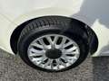 Fiat 500 1.2 Lounge 69cv CINGHIA DI DX OK - KM 107.059 Bianco - thumbnail 6
