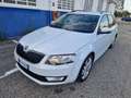 Skoda Octavia Wagon 1.6 tdi cr Executive 4x4 105cv - thumbnail 1