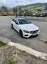 Mercedes-Benz E 220 d T Austria Edition 4MATIC Aut. AMG Line - thumbnail 15