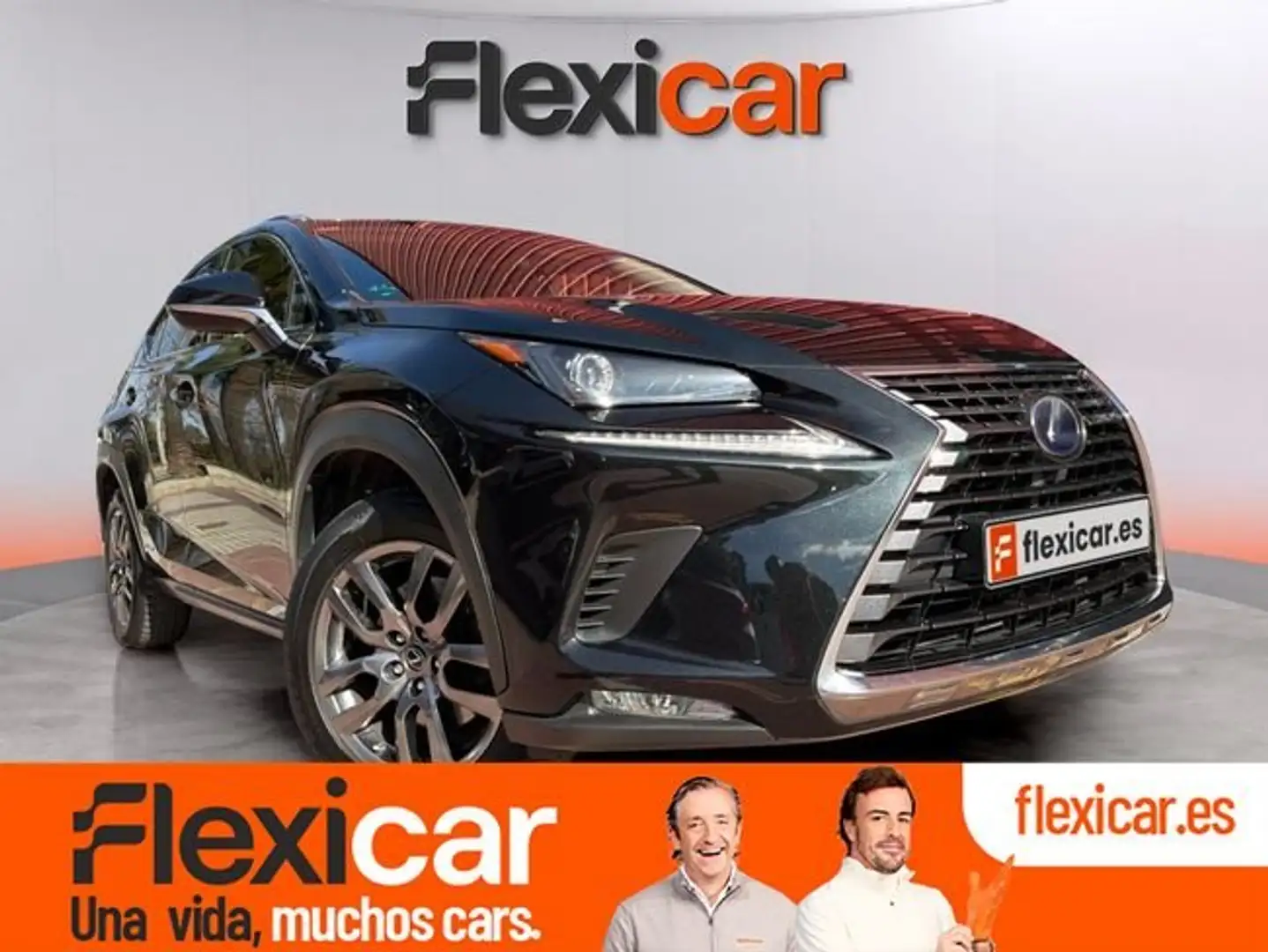 Lexus NX 300 300h Business Navigation 2WD Schwarz - 1
