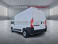 Fiat Ducato Ducato Series 2 Stock My25 Furgone Lastrat Weiß - thumbnail 3