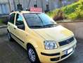 Fiat Panda Panda II 2003 1.2 Emotion Eco // NEOPATENTATI Giallo - thumbnail 7