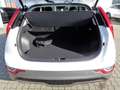 Kia Niro EV Inspiration DW TEC REX SD SD Weiß - thumbnail 14