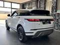 Land Rover Range Rover Evoque 2.0d i4 mhev HSE awd 150cv auto Blanc - thumbnail 4
