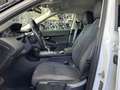 Land Rover Range Rover Evoque 2.0d i4 mhev HSE awd 150cv auto Blanc - thumbnail 8