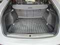 Audi Q5 Sportback 40 TDI quattro-ultra Black line S tronic Gris - thumbnail 6