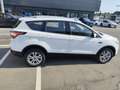 Ford Kuga 1.5 TDCI 120 CV S&S 2WD ST-Line Blanc - thumbnail 6