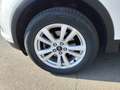 Ford Kuga 1.5 TDCI 120 CV S&S 2WD ST-Line Blanc - thumbnail 10