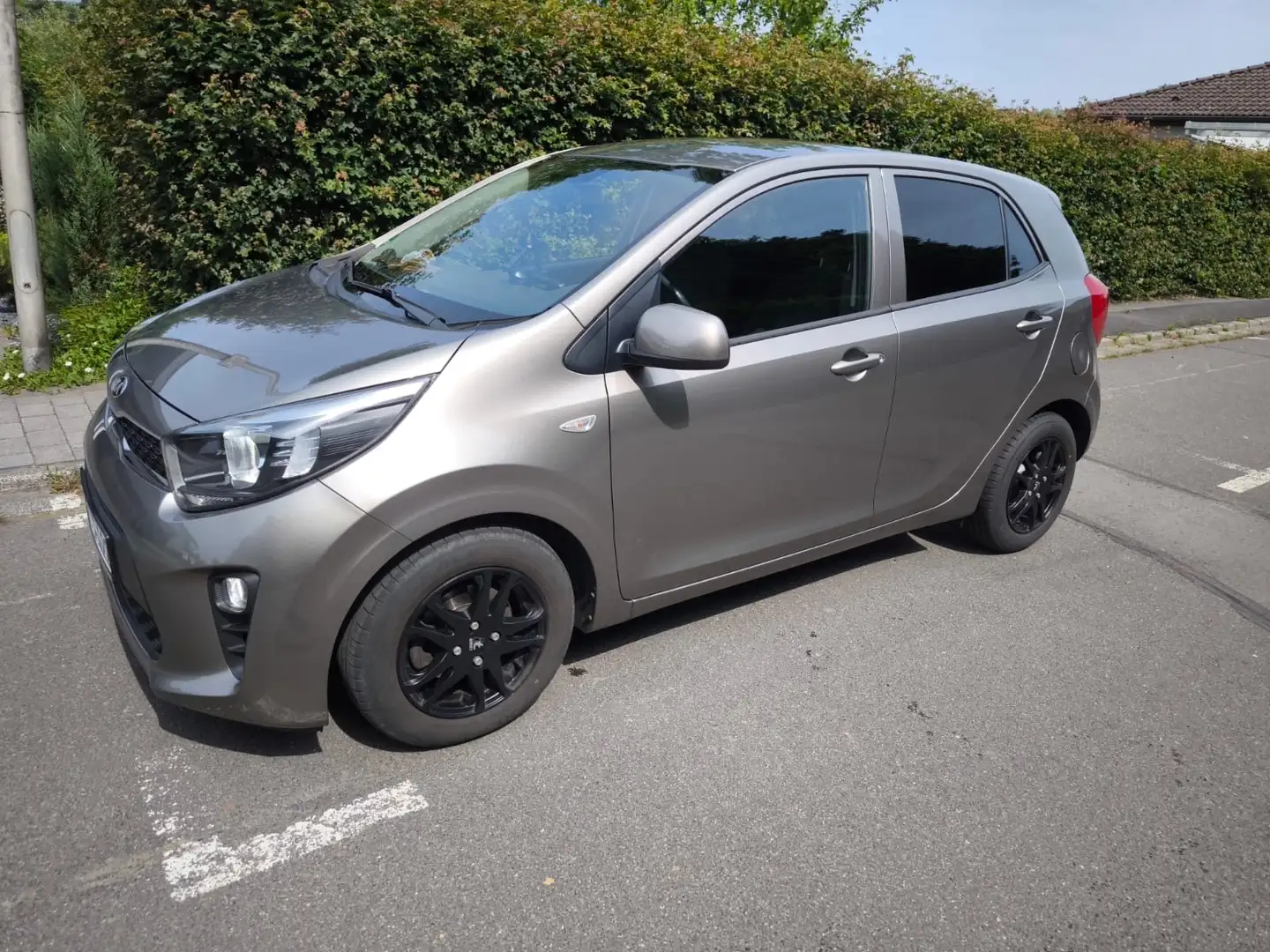 Kia Picanto Picanto 1.2 ISG Dream-Team Edition Grau - 1