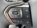 Lexus RZ Electric - Executive Line Zwart - thumbnail 17