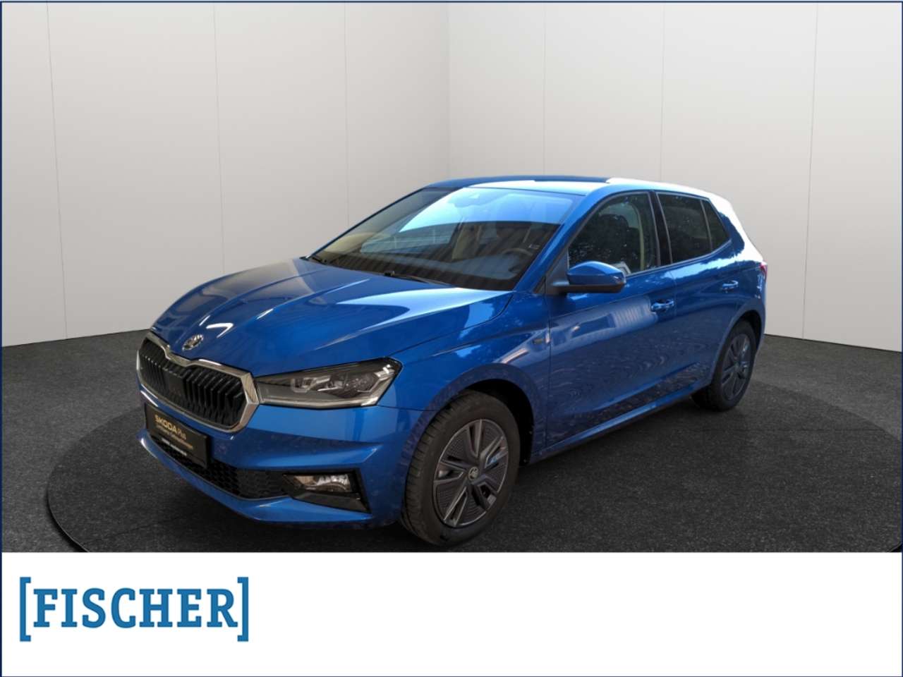 Skoda Fabia — Skoda Fabia 1.0TSI Tour LED Carplay Rear View PDC Vorber.