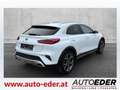 Kia XCeed Xceed 1,5 TGDI 48V GPF Gold DCT Weiß - thumbnail 5