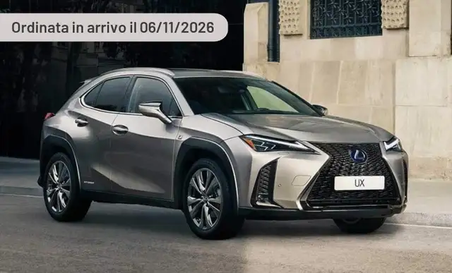 Lexus UX 300h 300h F-Design Bitone