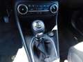 Ford Fiesta 1,0 Ecoboost Titanium LED DAB Winter PDC LM Grau - thumbnail 9