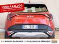 Kia Sportage 1.6 tgdi mhev business dct Rosso - thumbnail 5