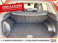 Kia Sportage 1.6 tgdi mhev business dct Rosso - thumbnail 12