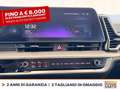 Kia Sportage 1.6 tgdi mhev business dct Rosso - thumbnail 24