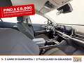 Kia Sportage 1.6 tgdi mhev business dct Rosso - thumbnail 7