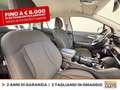 Kia Sportage 1.6 tgdi mhev business dct Rosso - thumbnail 8