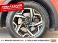 Kia Sportage 1.6 tgdi mhev business dct Rosso - thumbnail 15