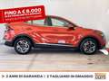 Kia Sportage 1.6 tgdi mhev business dct Rosso - thumbnail 6