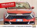 Kia Sportage 1.6 tgdi mhev business dct Rosso - thumbnail 3
