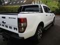 Ford Ranger Wildtrak Doppelkabine 4x4 - AHK etc Blanc - thumbnail 6