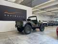 Jeep Willys RESTAURATA - completa di documenti originali Beige - thumbnail 5